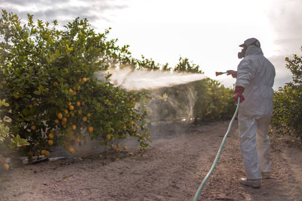 Best Pest Removal Services  in Victoria, TX