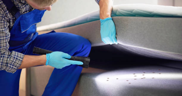 Pest Control Cost in Victoria, TX